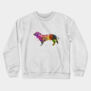 Alpine Dachsbracke  in watercolor Crewneck Sweatshirt